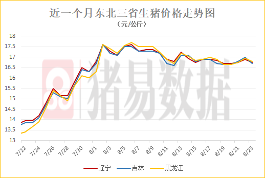 黑龍江生豬價格今日豬價,黑龍江生豬價格今日揭秘,小巷深處的豬肉香