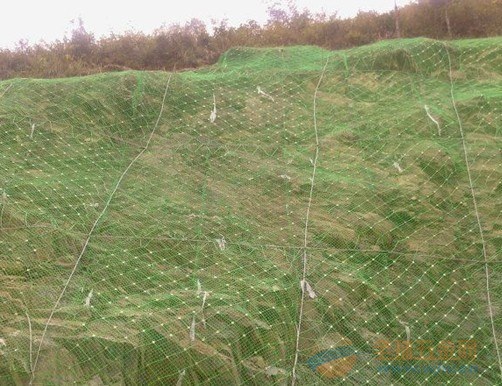 邊坡綠化網價格,時代變遷與行業進步的影響