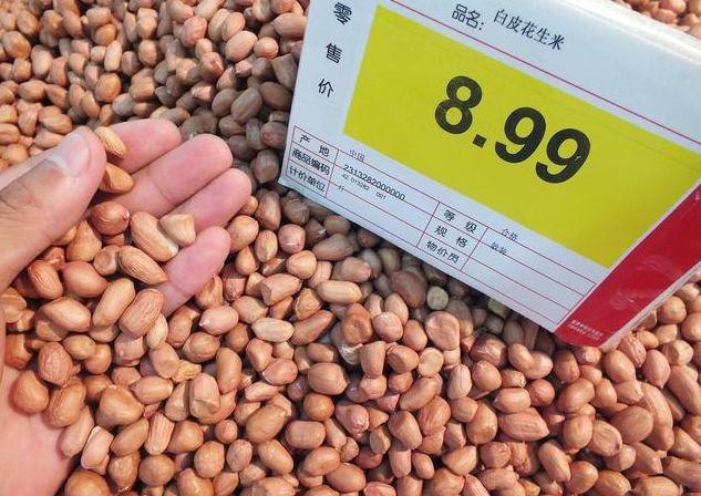 科技重塑農業，中國花生市場的新紀元與價格行情分析
