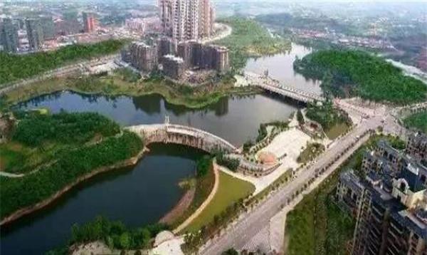 安岳檸檬最新價格行情及分析