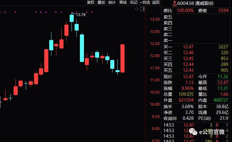 股票逆襲之路，開啟財富人生的新篇章從底部開始！