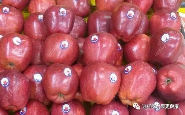 蛇果上市時間及科技新品展望,領略智能生活的未來體驗!