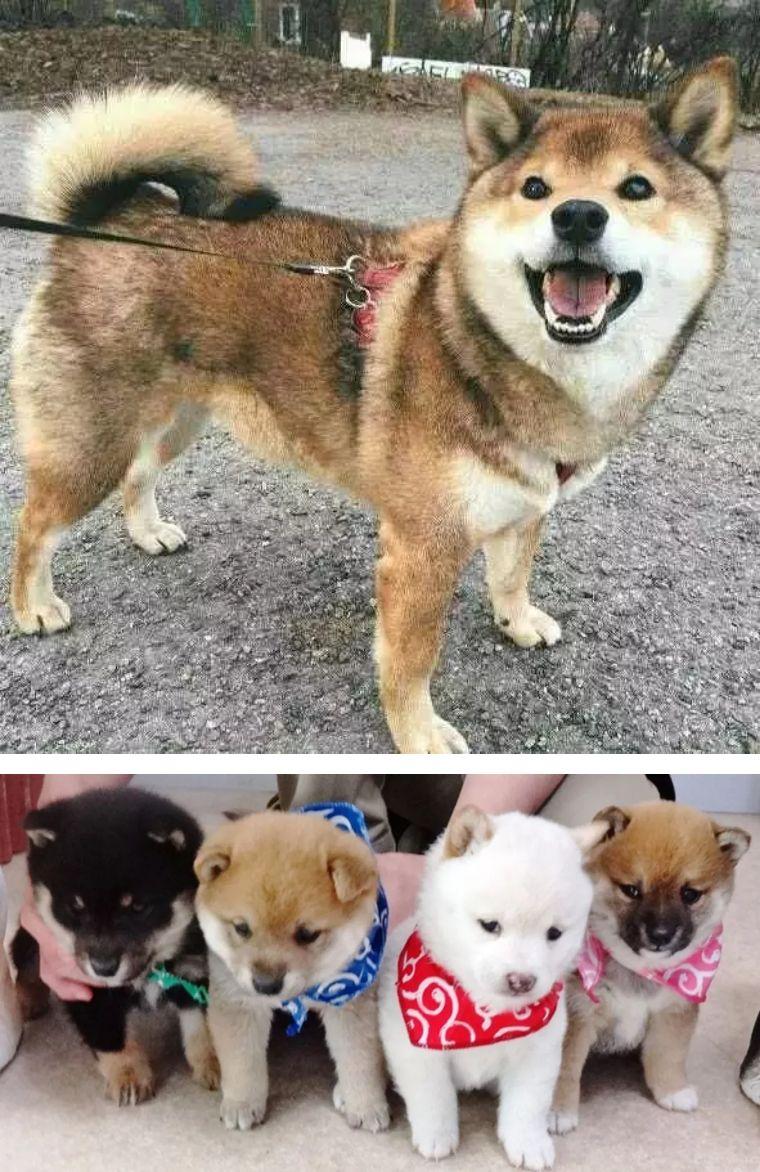 東京時尚風向標，探索日本最新潮流資訊