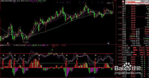「理財小課堂」輕松掌握股票收益率計算方法??