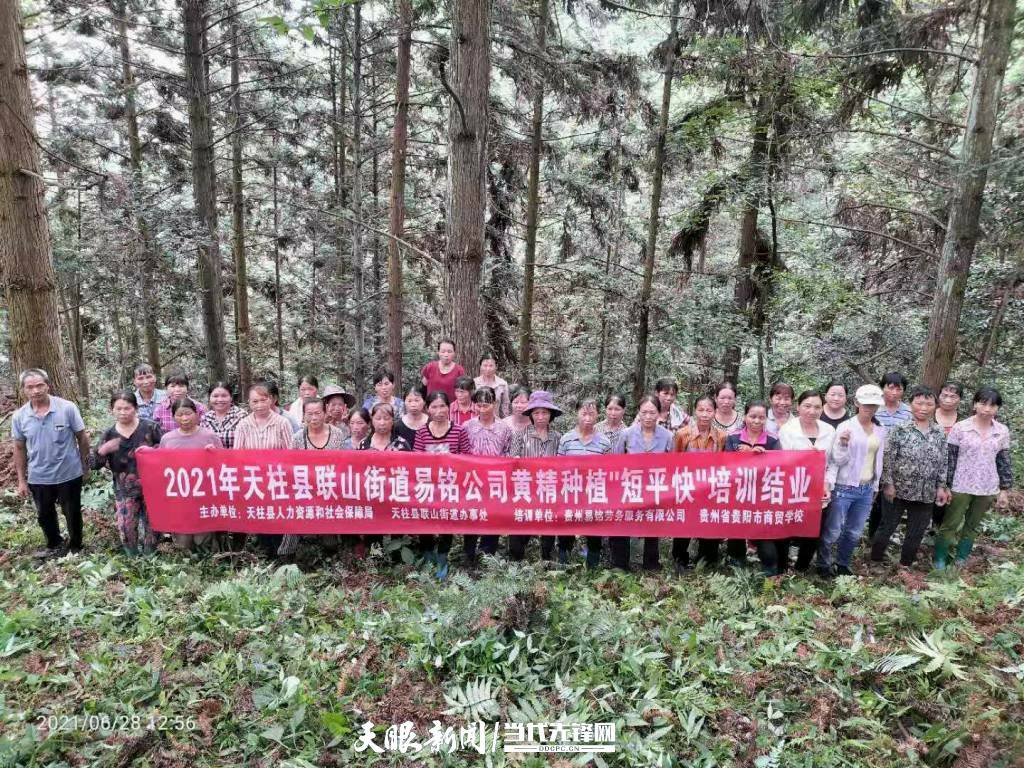 天柱聯(lián)山最新資訊,獲取與利用資源完成任務(wù)的步驟指南