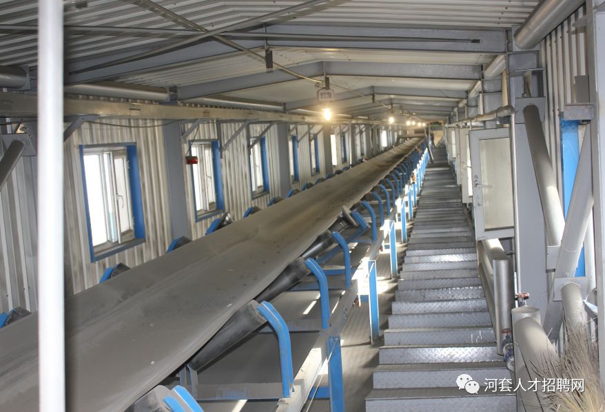 飛云馬道招聘啟事,全方位應聘攻略發布!