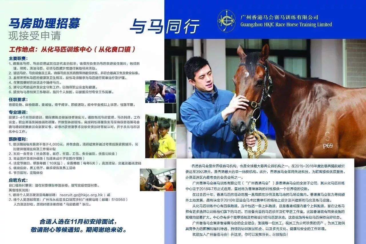 飛云馬道招聘啟事,全方位應聘攻略發布!