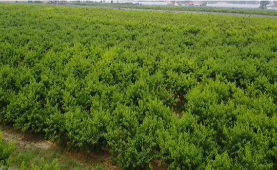 富平最新轉讓信息，變化中的機遇，成就感的源泉，自信閃耀時刻