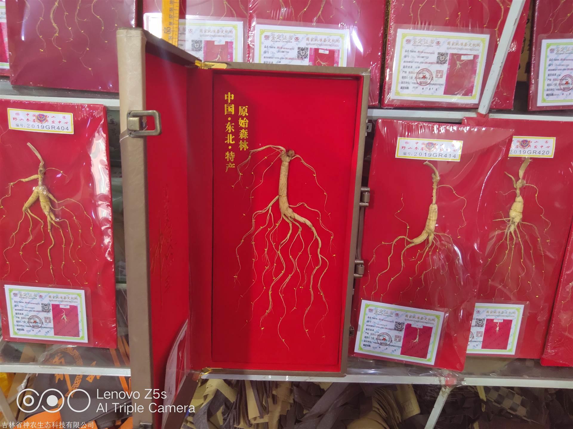 人參價格解析，市場走勢、品質差異及影響因素深度探討