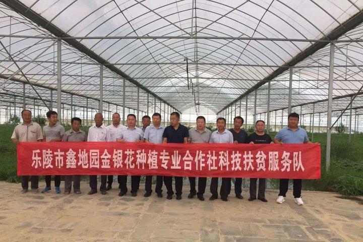 新型環剝設備，小巷中的科技新星