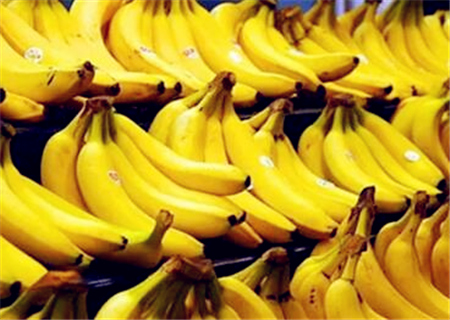 揭秘2017年香蕉行情走勢預測