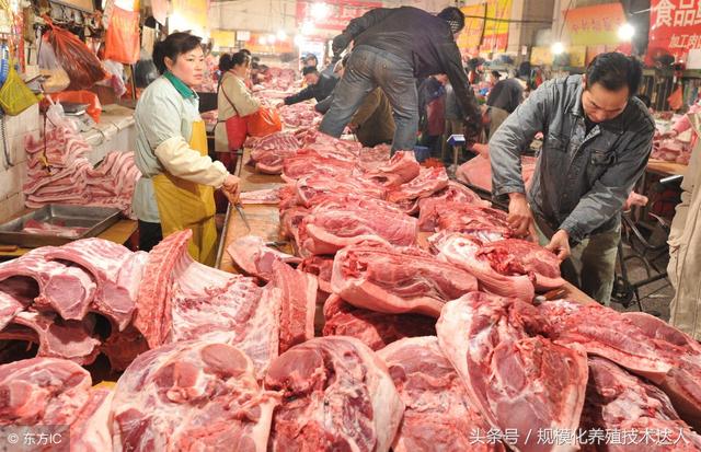 科技助力豬肉價格跟蹤，智能監(jiān)控，洞悉未來市場動態(tài)