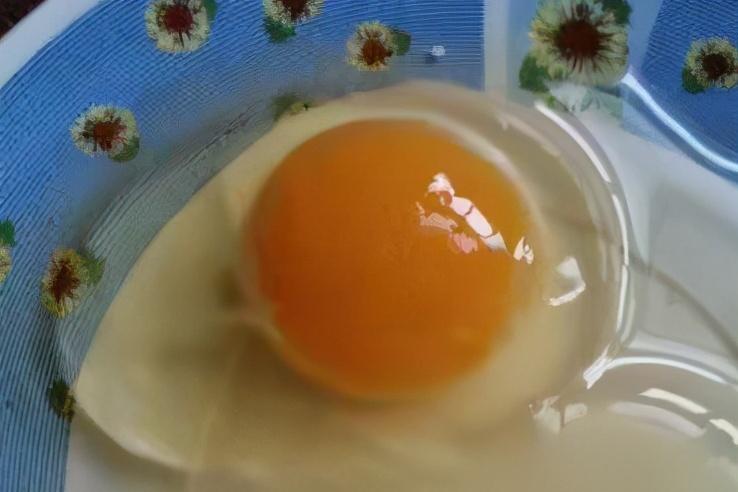 雞蛋批發(fā)價格行情解析,如何獲取最新資訊并做出明智決策