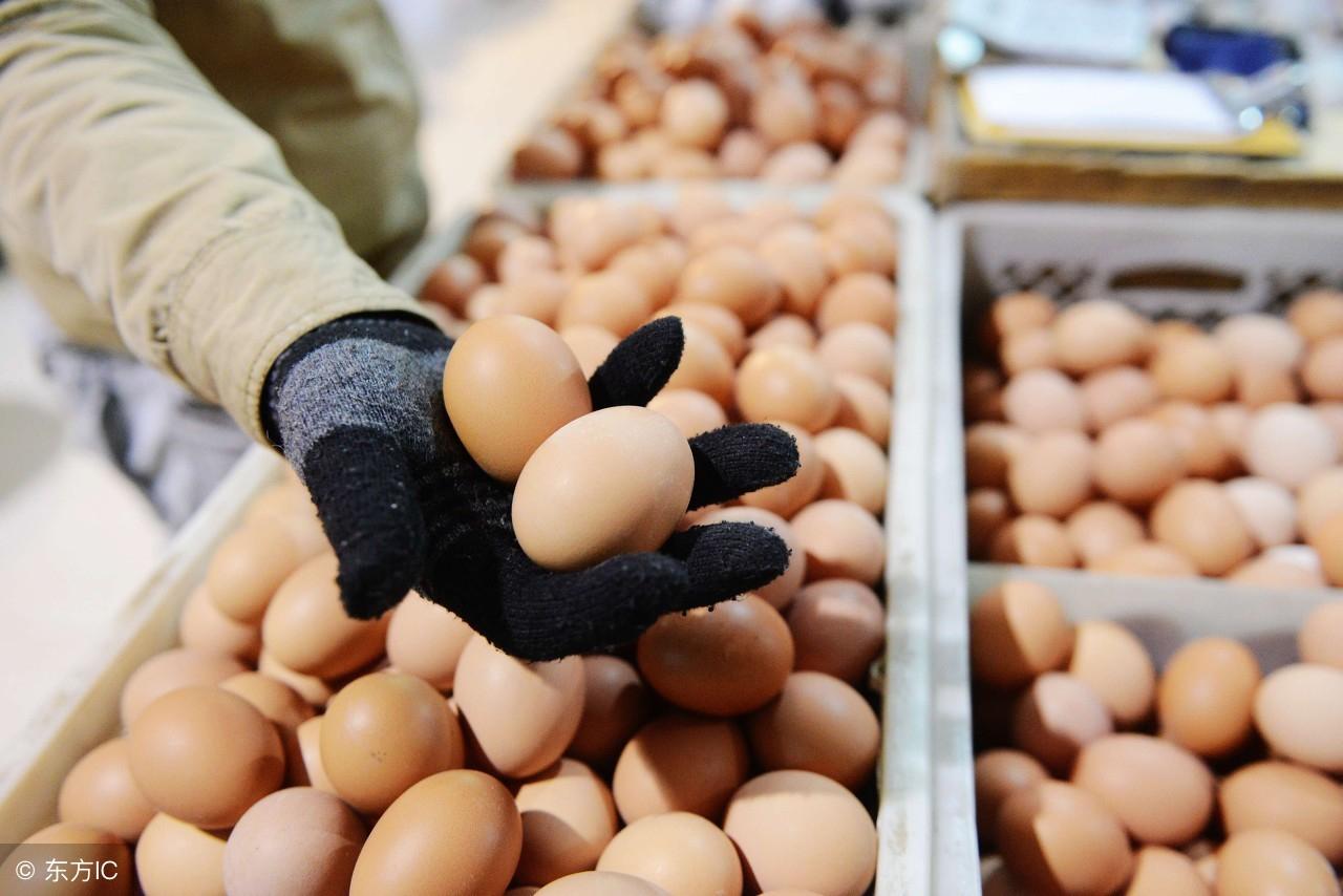 雞蛋批發(fā)價格行情解析,如何獲取最新資訊并做出明智決策