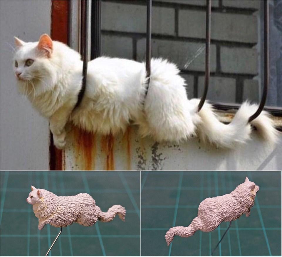 神之手比賽，技藝巔峰的榮耀之戰