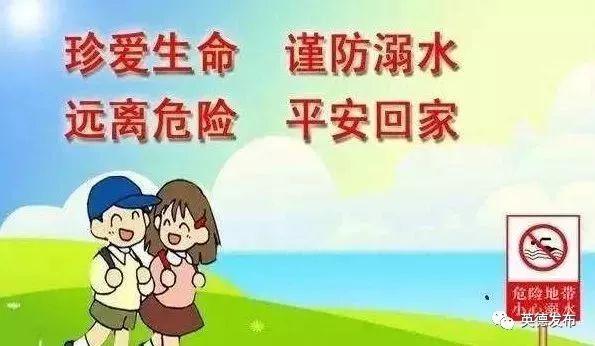 征文比賽方案，初學者與進階用戶的全方位指南