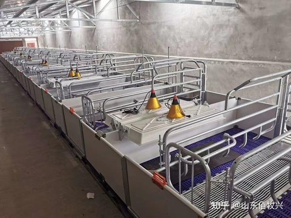 “最新母豬產(chǎn)床技術(shù)”,最新母豬產(chǎn)床技術(shù),一場技術(shù)與自信的革新之旅