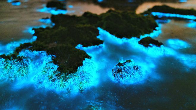 最新藍眼淚現象,尋找內心平靜的奇妙旅程