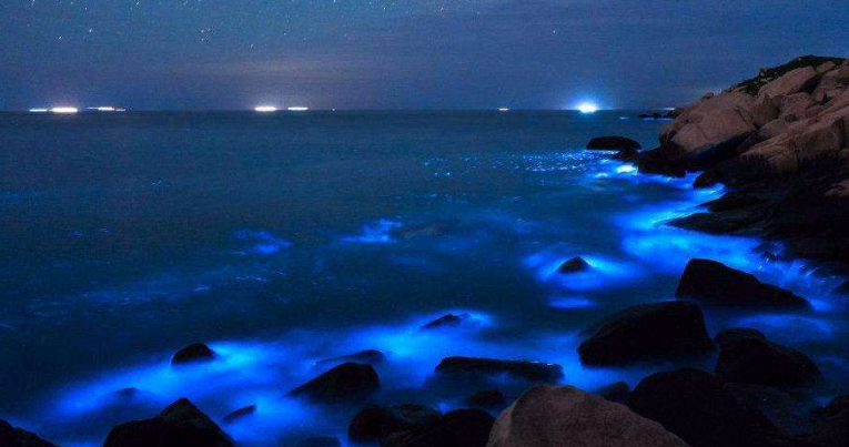 最新藍眼淚現象,尋找內心平靜的奇妙旅程