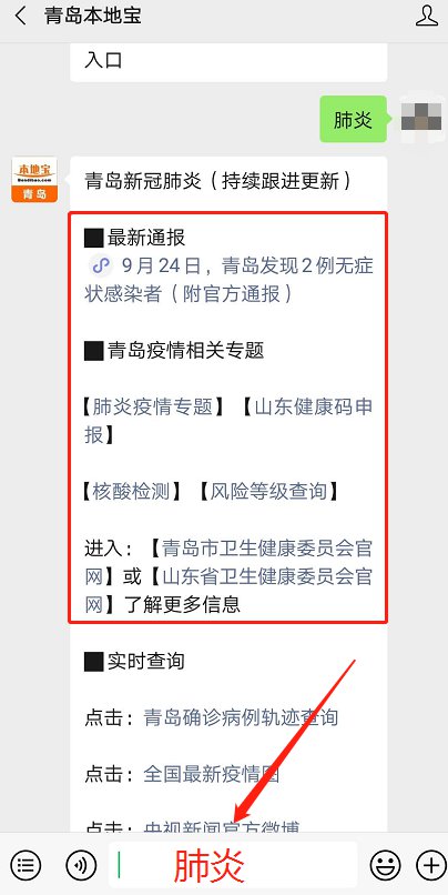 青島最新動態，多維度視角下的城市發展探析