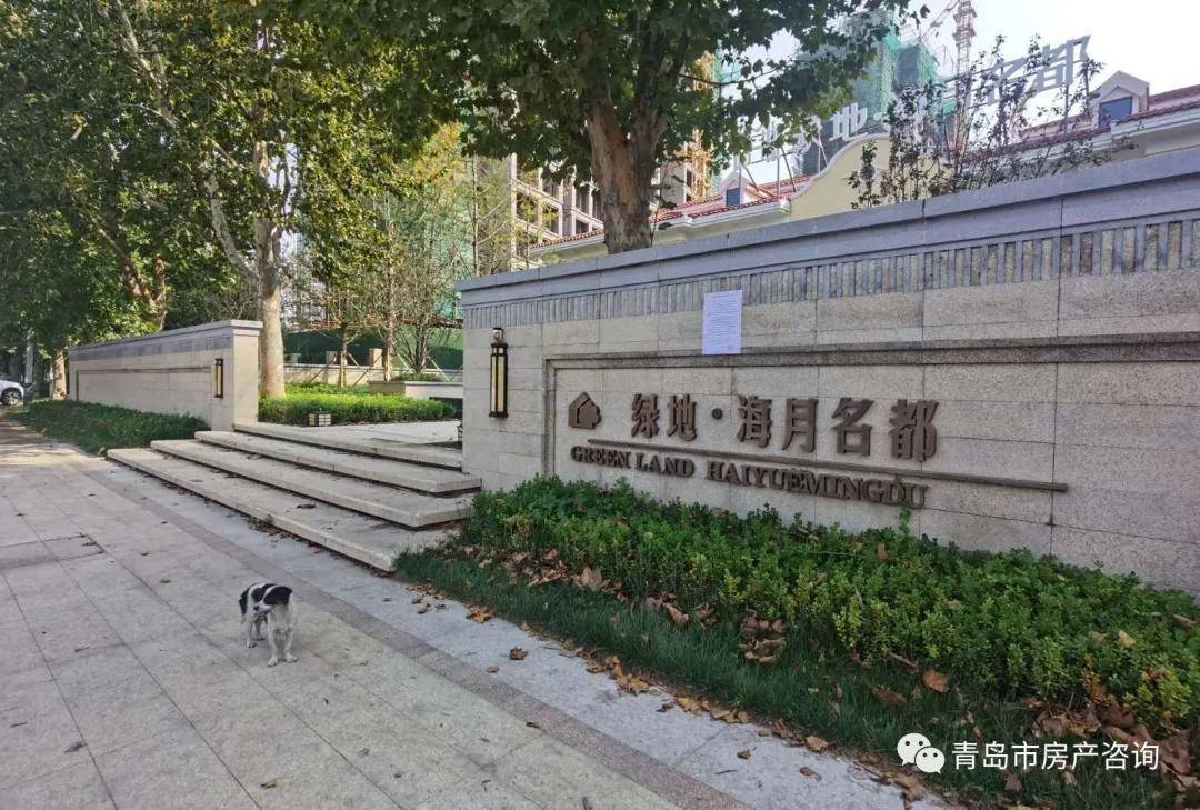 青島最新動態,多維度視角下的城市發展探析