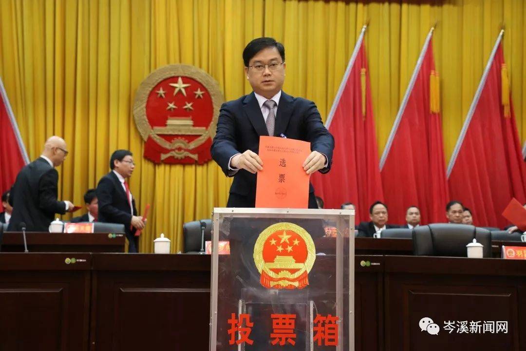 岑溪人事任免信息詳解，獲取指南及初學者進階指南