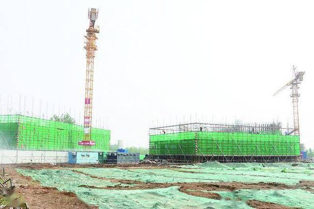 小莊項(xiàng)目最新進(jìn)展,變化中的力量與學(xué)習(xí)帶來(lái)的自信與成就感