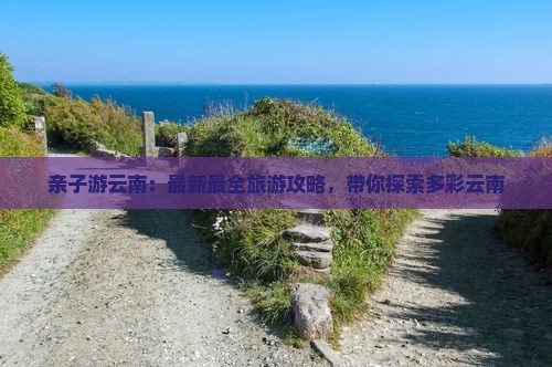 云南旅游最新攻略,云南旅游最新攻略，自信之旅，探索變化中的美景與成就感
