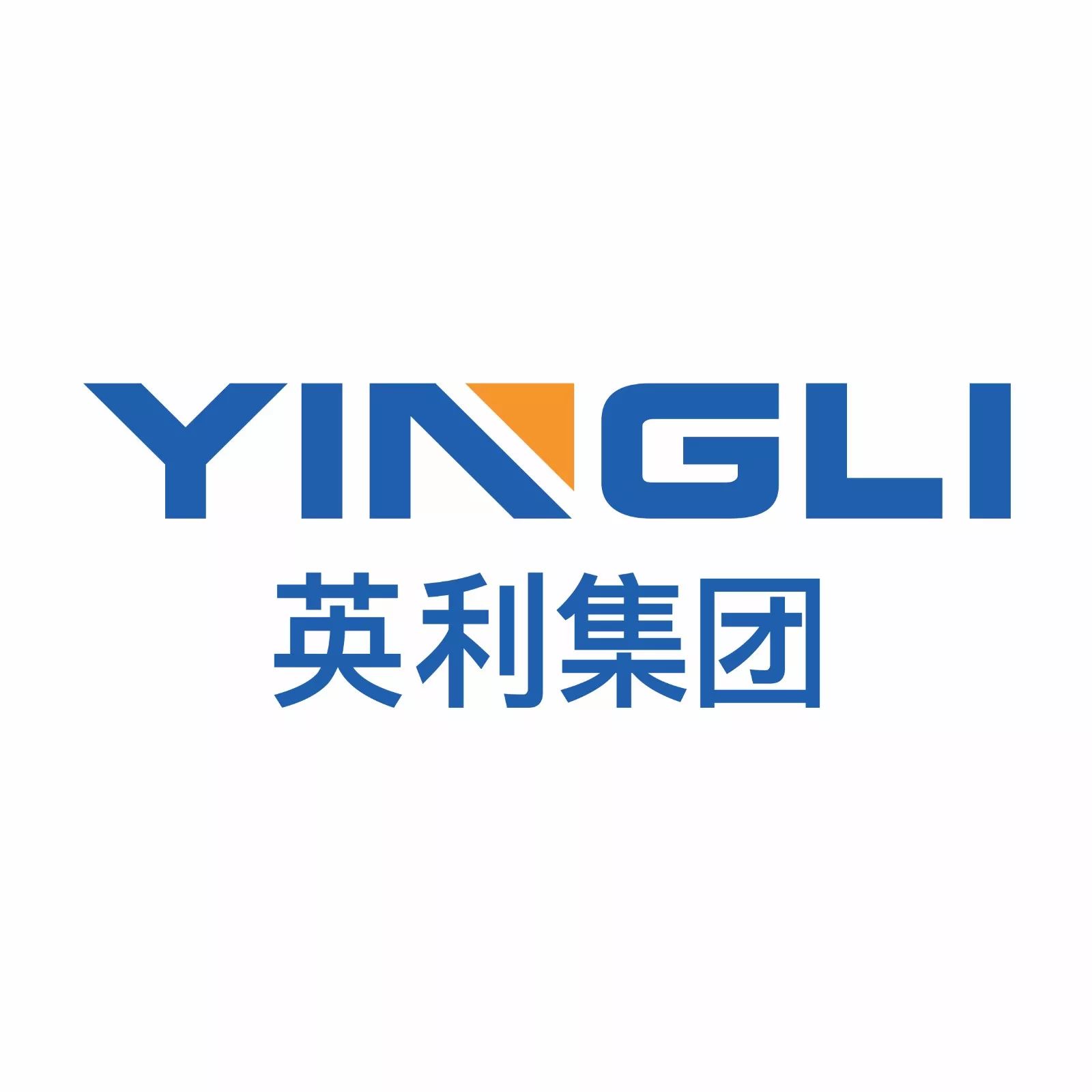 英利最新動態揭秘，三大要點聚焦企業進展全貌