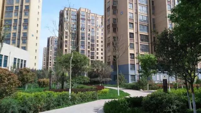 周至房價最新走勢，與自然美景相遇，內心平和的旅程探索