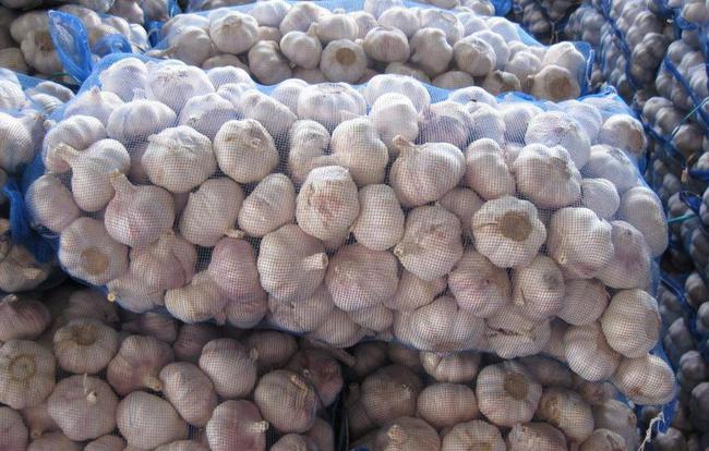 開封大蒜最新市場價格，時代味道與市場動態同步更新