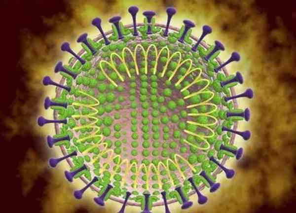 新型病毒主要癥狀探究,探索病毒影響的主要表現(xiàn)
