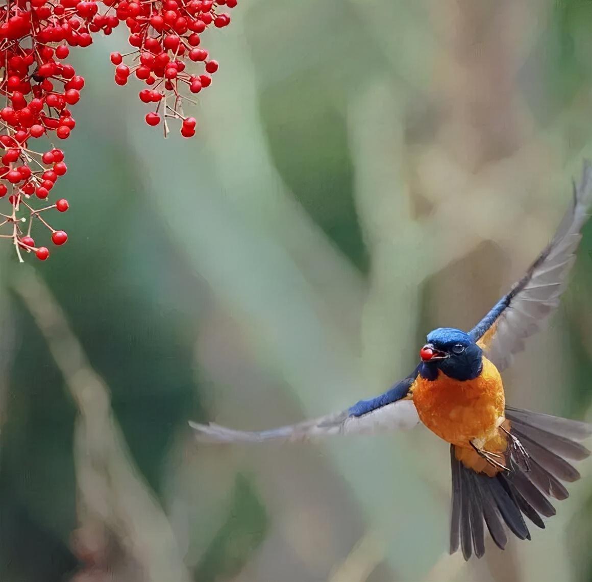 五十路演員,五十路演員的高科技產品介紹