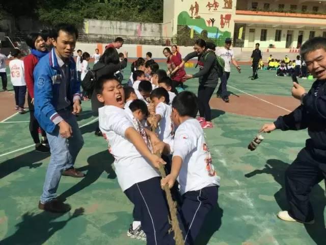 拔河比賽對陣圖詳解，策略、技巧與案例剖析實戰指南