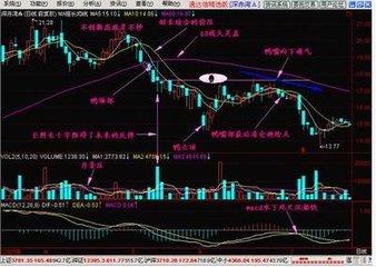 上市公司改名背后的股市魔法與人生智慧,股價(jià)波動(dòng)深度解析