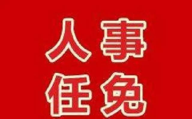 長治市人事任免信息解析,日常故事與任免動態