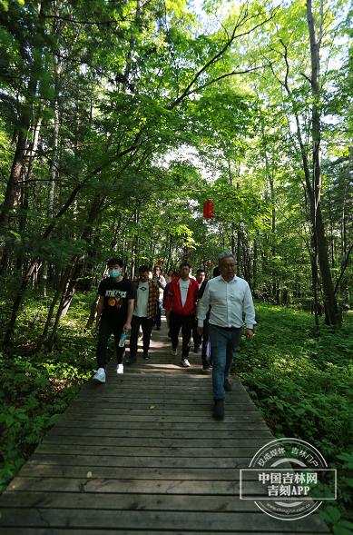 夢(mèng)幻遮天最新版下載攻略,快速獲取下載渠道與指南