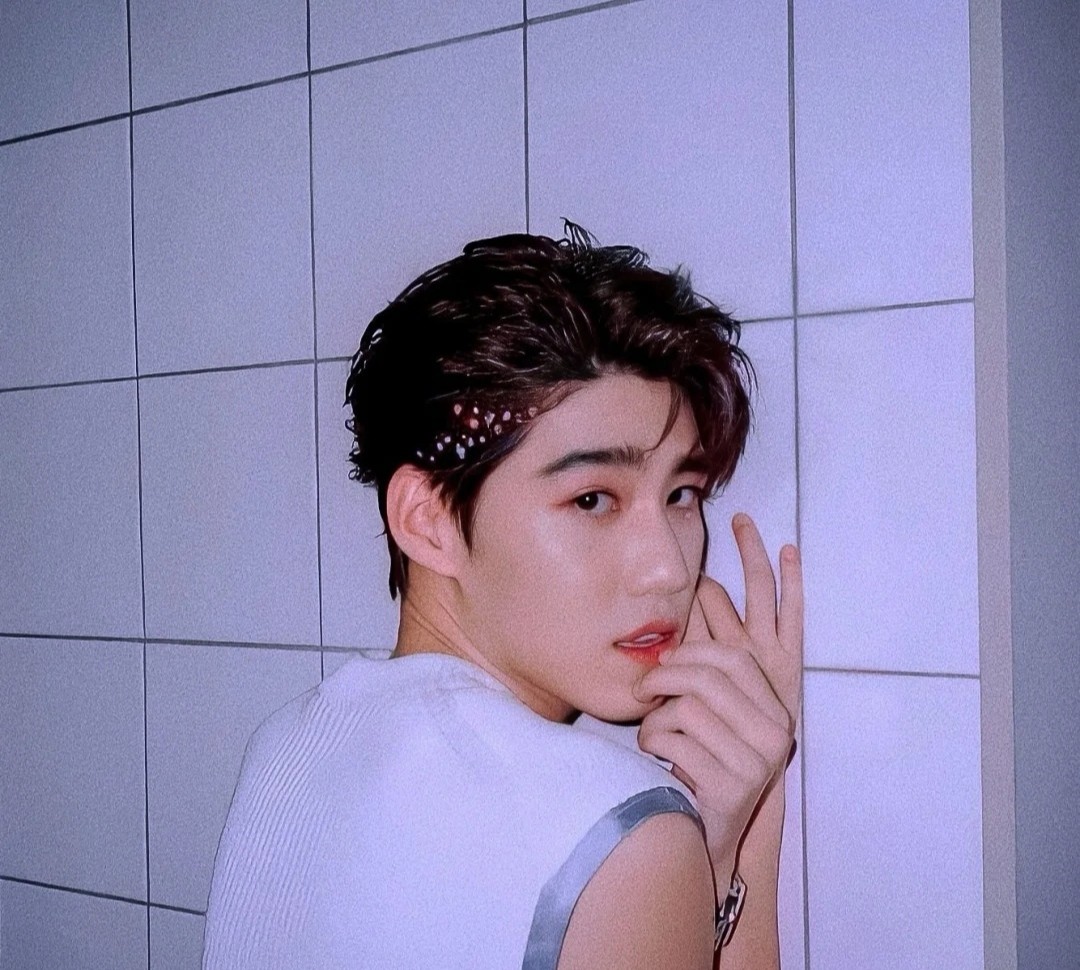 PP最新動態,PP最新動態，塑造新時代的獨特力量