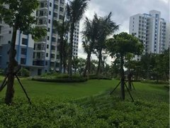 瓊海翠屏灣最新動態更新