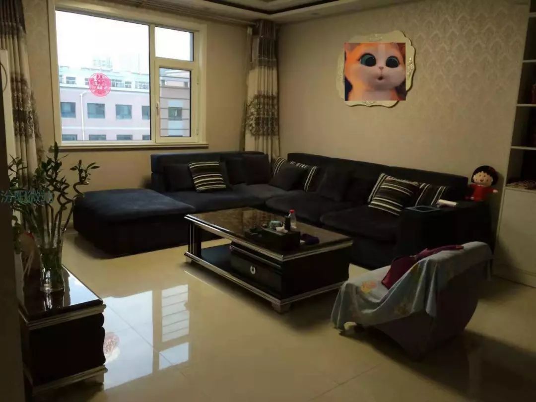 汾陽小巷深處的獨特風味,揭秘隱藏版特色小店最新資訊