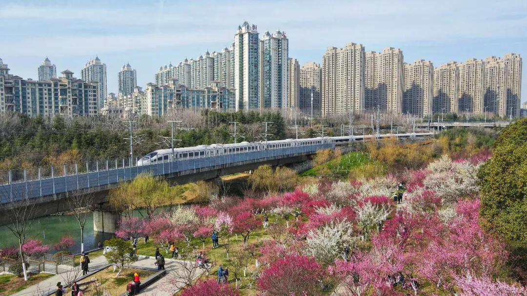 合肥房地產最新動態,科技重塑居住,未來生活觸手可及的新篇章