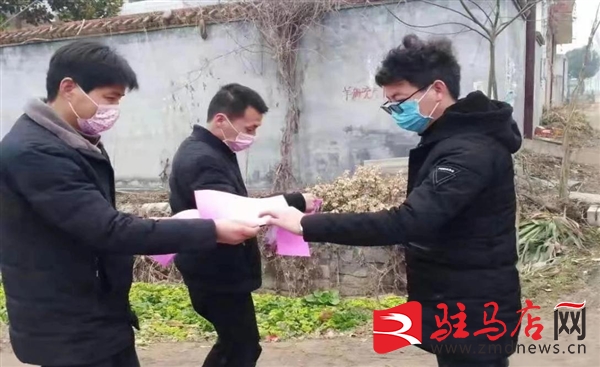 河南泌陽羊冊最新動態更新，最新進展與資訊匯總