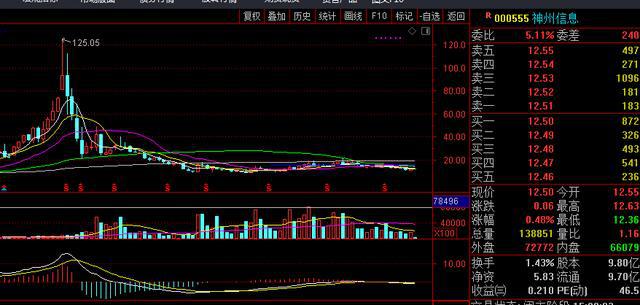 股市小天地里的友情大溫暖,與300081股票的日常故事