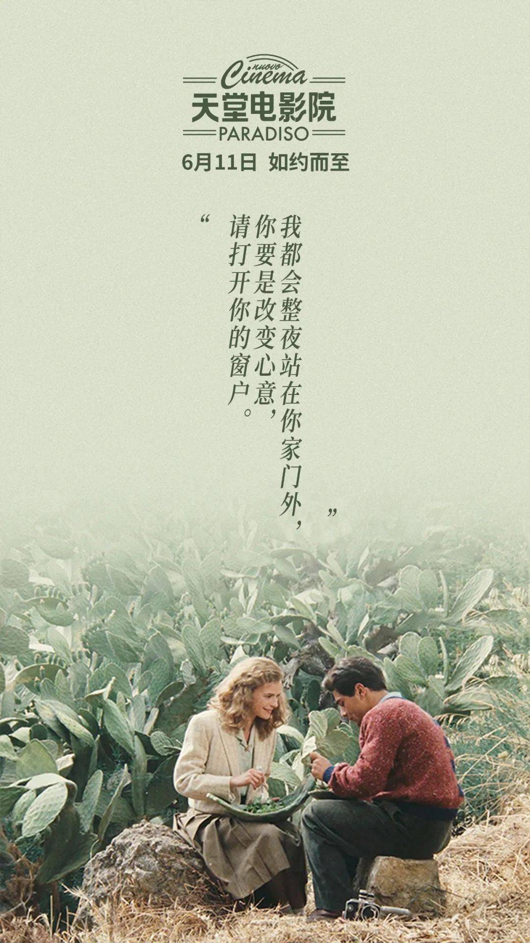 電影天堂，探尋電影的藝術精髓與無限魅力