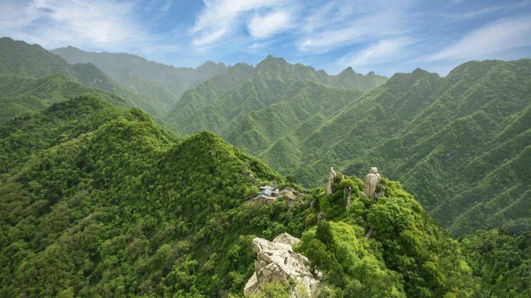 秦嶺最新動態，探險之旅與溫情之旅的奇妙交匯