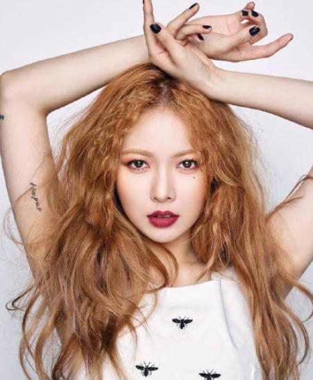 愛豆明星行程,愛豆明星行程??追星的那些日子,你準備好了嗎?