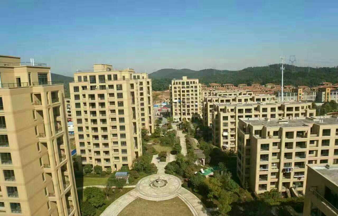 長興二手房資訊，科技引領房產新紀元，智能體驗重塑生活空間