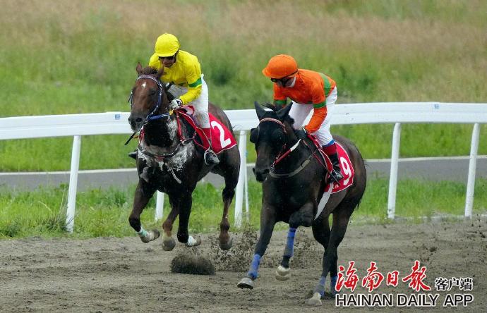 海南賽馬政策最新動態下的賽馬情緣揭秘