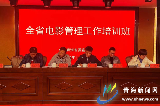 青海新聞網最新資訊速遞，聚焦青海，掌握最新動態