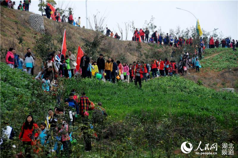 十堰長嶺最新動態,自然美景探索之旅啟程